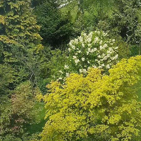 Διαμέρισμα Brockenferien *