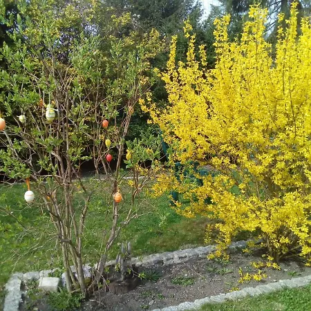 Brockenferien Διαμέρισμα *